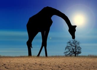 Die Bedeutung der Eigenverantwortung in Beruf und Privatleben