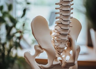 Osteoporose: Ursachen Verstehen und Vorbeugen