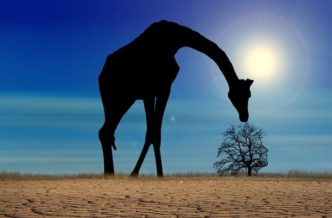 Die Bedeutung der Eigenverantwortung in Beruf und Privatleben