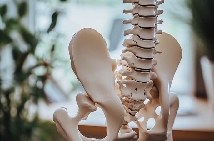 Osteoporose: Ursachen Verstehen und Vorbeugen