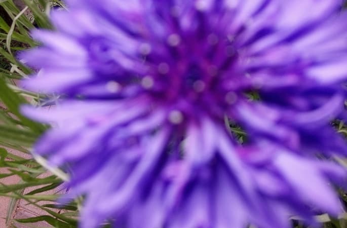 Positives Denken: Wie Sie Optimismus in Ihrem Alltag kultivieren können