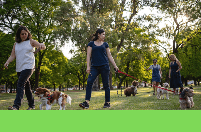 Effektive Hundeerziehung: Konditionierung, Lob, Strafe und Ignorieren im Training auf dem Hundeplatz